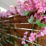 Дом отдыха Tree Haven - Near Kourenti With 100mbps Wi-fi