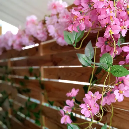 Hébergement de vacances Tree Haven - Near Kourenti With 100mbps Wi-fi