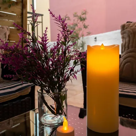 Tree Haven - Near Kourenti With 100mbps Wi-fi Hébergement de vacances *