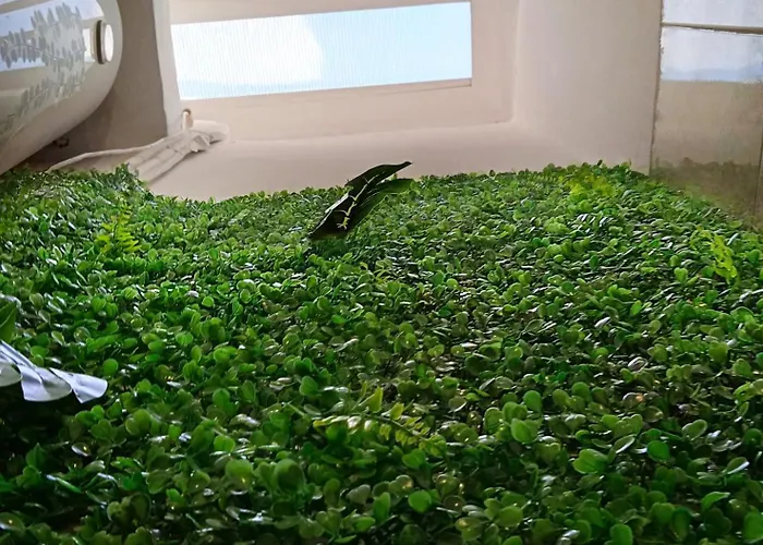 Tree Haven - Near Kourenti With 100mbps Wi-fi Chalkís