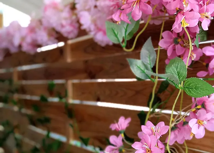 Hébergement de vacances Tree Haven - Near Kourenti With 100mbps Wi-fi