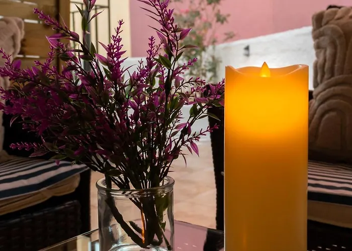 Tree Haven - Near Kourenti With 100mbps Wi-fi Hébergement de vacances *